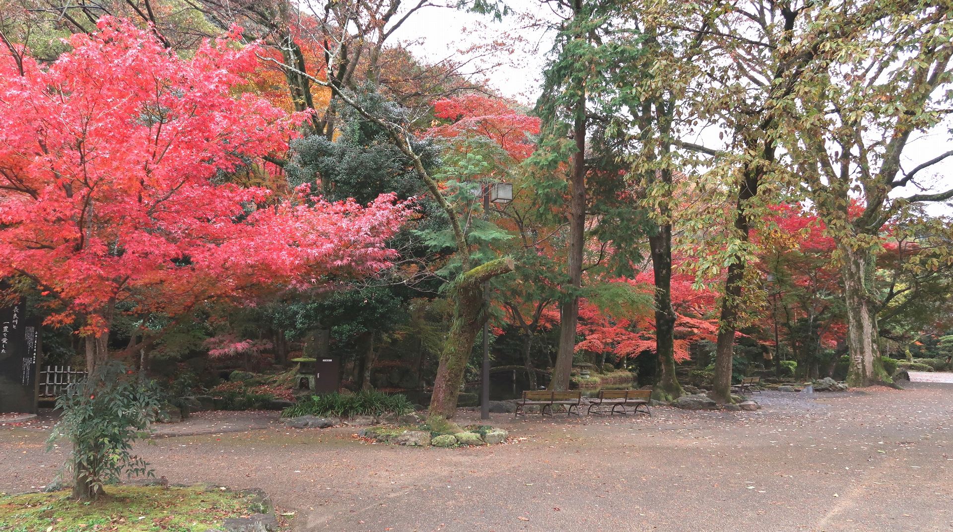 岐阜公園           の写真